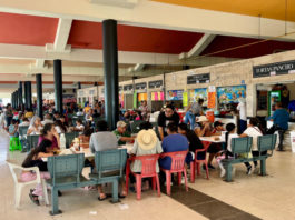 Tampico registra importante afluencia turística en Semana Santa