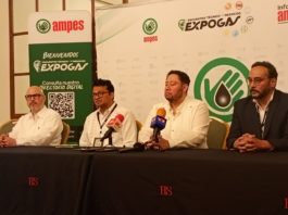 “Con etanol de un zarpazo se puede frenar el huachicoleo”: AMPES.