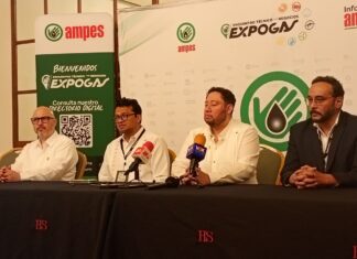 “Con etanol de un zarpazo se puede frenar el huachicoleo”: AMPES