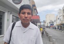 Ante proliferación de moscos piden fumigación en la Fray Andrés de Olmos y sectores aledaños