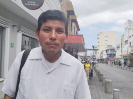 Ante proliferación de moscos piden fumigación en la Fray Andrés de Olmos y sectores aledaños