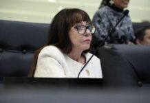 Blanca Anzaldúa cuestiona a la SET sobre protección a docentes durante sesión de comparecencias