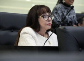 Blanca Anzaldúa cuestiona a la SET sobre protección a docentes durante sesión de comparecencias