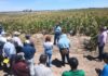 Promueven uso de residuos orgánicos para fortalecer la productividad agrícola