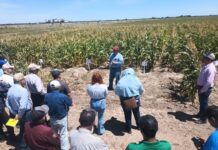 Promueven uso de residuos orgánicos para fortalecer la productividad agrícola