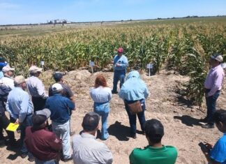 Promueven uso de residuos orgánicos para fortalecer la productividad agrícola