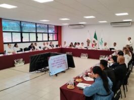 Rralizan Segunda Sesión Ordinaria COEPES
