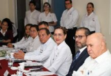 Evalúa Comando Interinstitucional del Sector Salud programas preventivos y de atención a la población