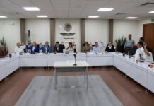 Aprobación Unánime al Dictamen Sobre la Reforma Electoral