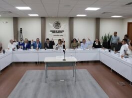 Aprobación Unánime al Dictamen Sobre la Reforma Electoral