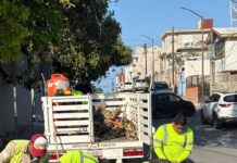 Avanza Tampico en la rehabilitación vial con el programa “VAcheando”