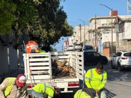 Avanza Tampico en la rehabilitación vial con el programa “VAcheando”