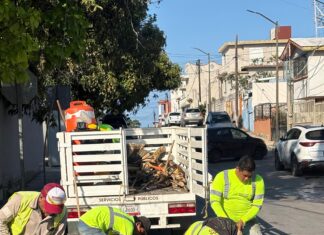 Avanza Tampico en la rehabilitación vial con el programa “VAcheando”