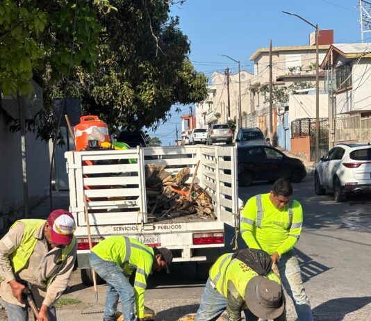 Avanza Tampico en la rehabilitación vial con el programa “VAcheando”