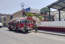 Simulacro fortalece cultura de prevención en Tampico
