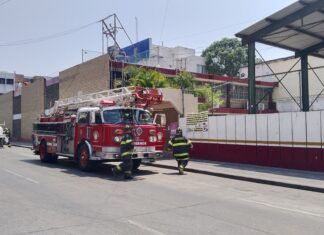 Simulacro fortalece cultura de prevención en Tampico