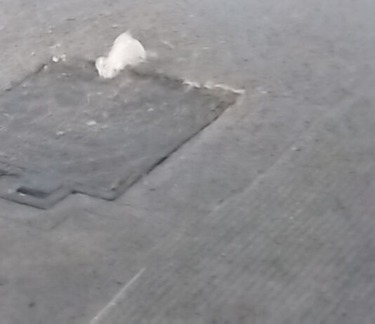 Miles de litros de agua potable se desperdician por fuga en su quinto día