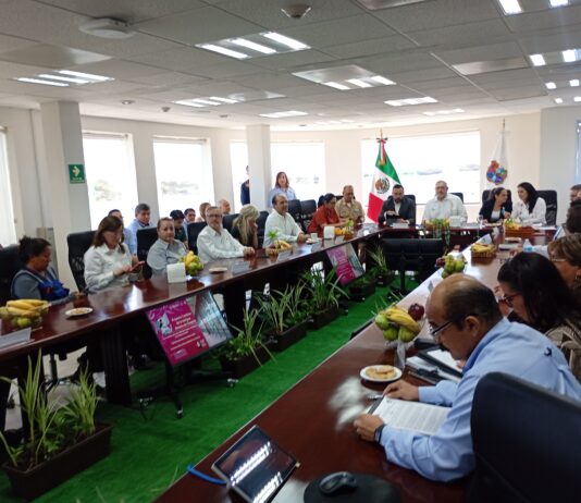 Instalan Comité Consultivo Especializado para el Desarrollo Turístico de la Antigua Aduana de Tampico