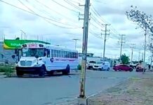 Muere persona al parecer atropellada por una unidad del transporte público