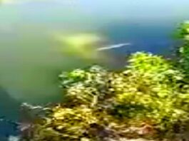 Sacan de canal de aguas negras unidad que dejo daños materiales