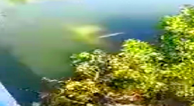 Sacan de canal de aguas negras unidad que dejo daños materiales (2)
