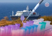 Texas vigila a 2 pasajeros del crucero con brote de hantavirus; ya hay monitoreo en varios estados de EU