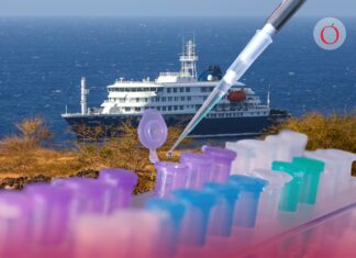 Texas vigila a 2 pasajeros del crucero con brote de hantavirus; ya hay monitoreo en varios estados de EU