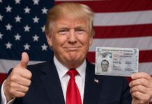 California, Arizona, Nuevo México y Texas permitirán el ingreso de mexicanos sin visa americana: sólo deberán presentar este documento