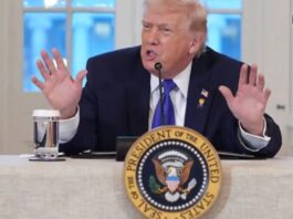 Trump: Claudia Sheinbaum no quiere ir tras narcos