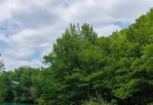 Exortan a preservar y valorar los espacios naturales