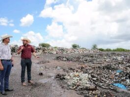 Exploran oportunidades para la producción de bioenergía
