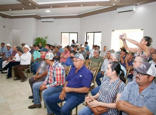 Avanza la expansión del frijol guar en el norte de Tamaulipas