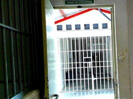 Arrestan a sujeto por molestar a las personas y alterar el orden