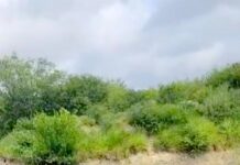 Cae unidad a canal de aguas negras y deja lesionados