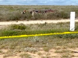 Cobra tres victimas más el temible “Viaducto de la Muerte”