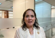 Comisión de Educación pide al SNTE no proteger a presuntos agresores sexuales