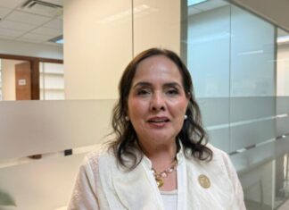 Comisión de Educación pide al SNTE no proteger a presuntos agresores sexuales