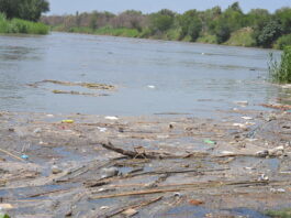 “Se espera una creciente del río Bravo de 3.5 metros; no será de riesgo”: PC.