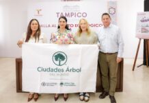Tampico recibe reconocimiento internacional Tree Cities of the World 2025 por su compromiso con el medio ambiente