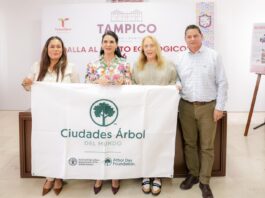 Tampico recibe reconocimiento internacional Tree Cities of the World 2025 por su compromiso con el medio ambiente