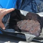 IMG-20260618-WA0003