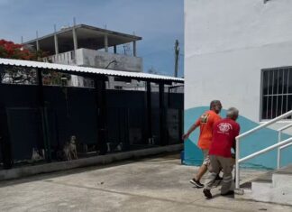 Rescatan a perrito que estaba atrapado en un canal en la zona norte de Tampico