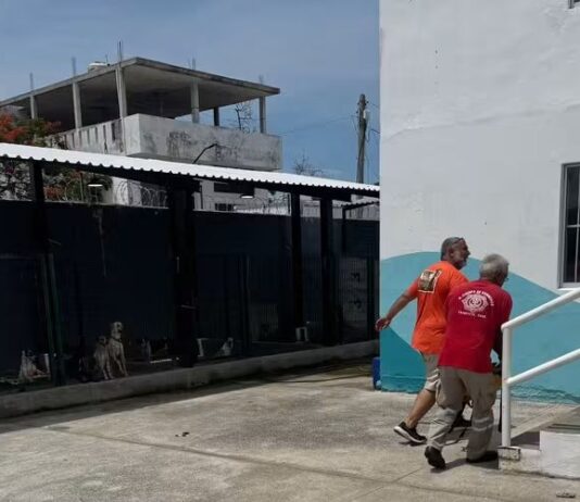 Rescatan a perrito que estaba atrapado en un canal en la zona norte de Tampico