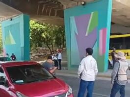 Acciones contra vehículos de plataforma, son exhortos y no operativos