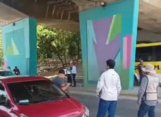 Acciones contra vehículos de plataforma, son exhortos y no operativos