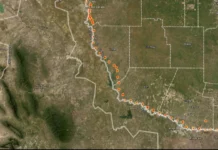 Casos de Gusano Barrenador aumentan en Estados Unidos; Texas concentra la mayoría