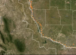 Casos de Gusano Barrenador aumentan en Estados Unidos; Texas concentra la mayoría