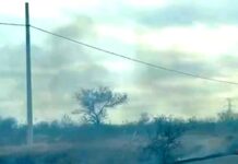 Registran incendio en pastizal y dejan daños materiales