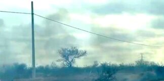 Registran incendio en pastizal y dejan daños materiales