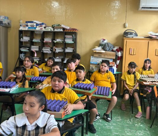 Llevan el arte de reciclar a las escuelas con el programa ‘Recicl-Arte